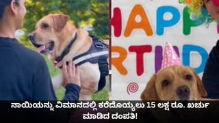Optical Illusion: ಈ ಒಗಟಿನ ಚಿತ್ರದಲ್ಲಿರುವ ಹಲ್ಲಿಯನ್ನು ಹುಡುಕಿದ್ರೆ ನೀವೇ ಜಾಣರು