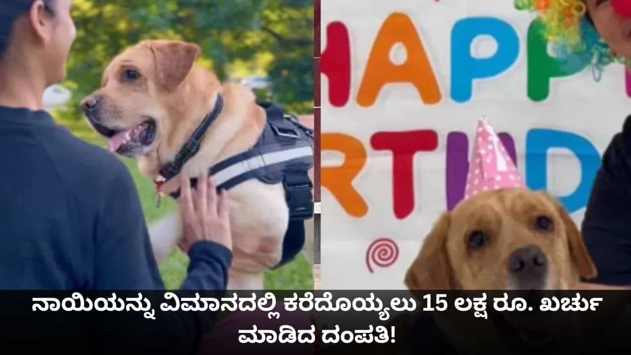 ಮುದ್ದಿನ ನಾಯಿಯನ್ನು ವಿಮಾನದಲ್ಲಿ ಕರೆದೊಯ್ಯಲು 15 ಲಕ್ಷ ರೂ. ಖರ್ಚು ಮಾಡಿದ ದಂಪತಿ!