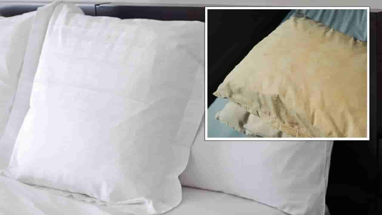 ಕೊಳೆಯಾದ ದಿಂಬುಗಳನ್ನು ತೊಳೆಯದೆ ಕ್ಷಣಾರ್ಧದಲ್ಲಿ ಸ್ವಚ್ಛಗೊಳಿಸಲು ಈ ಸರಳ ಸಲಹೆ ಪಾಲಿಸಿ