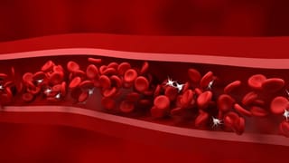 ಫೈಬರ್ ಸೇರಿ ಹೇರಳ ಪೌಷ್ಟಿಕಾಂಶಗಳಿರುವ ಸೋರೆಕಾಯಿಯಿಂದ ಪ್ರಯೋಜನಗಳೇನು? ಬಾಬಾ ರಾಮದೇವ್ ಮಾಹಿತಿ