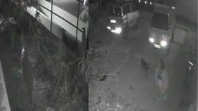 ಗೋಡೆಗೆ ಎಸೆದು ಚಿತ್ರಹಿಂಸೆ ನೀಡಿ ನಾಯಿ ಮರಿಯನ್ನು ಕೊಂದ ವ್ಯಕ್ತಿ