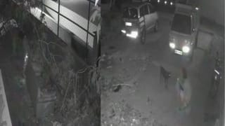 ಖಾಕಿ ಭರ್ಜರಿ ಬೇಟೆ​​: ಪ್ರತ್ಯೇಕ ಪ್ರಕರಣಗಳಲ್ಲಿ 1.2 ಕೋಟಿ ಮೌಲ್ಯದ ಡ್ರಗ್ಸ್, ಆನೆದಂತದ ವಿಗ್ರಹ ಜಪ್ತಿ