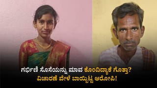 ಗರ್ಭಿಣಿ ಸೊಸೆಯನ್ನು ಮಾವ ಕೊಂದಿದ್ಯಾಕೆ ಗೊತ್ತಾ? ವಿಚಾರಣೆ ವೇಳೆ ಬಾಯ್ಬಿಟ್ಟ ಆರೋಪಿ!