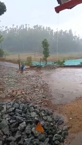 ಚಿಕ್ಕಮಗಳೂರಿನಲ್ಲಿ ಧಾರಾಕಾರ ಮಳೆ: ಕಾಫಿ ಬೆಳೆಗಾರರು ಕಂಗಾಲು