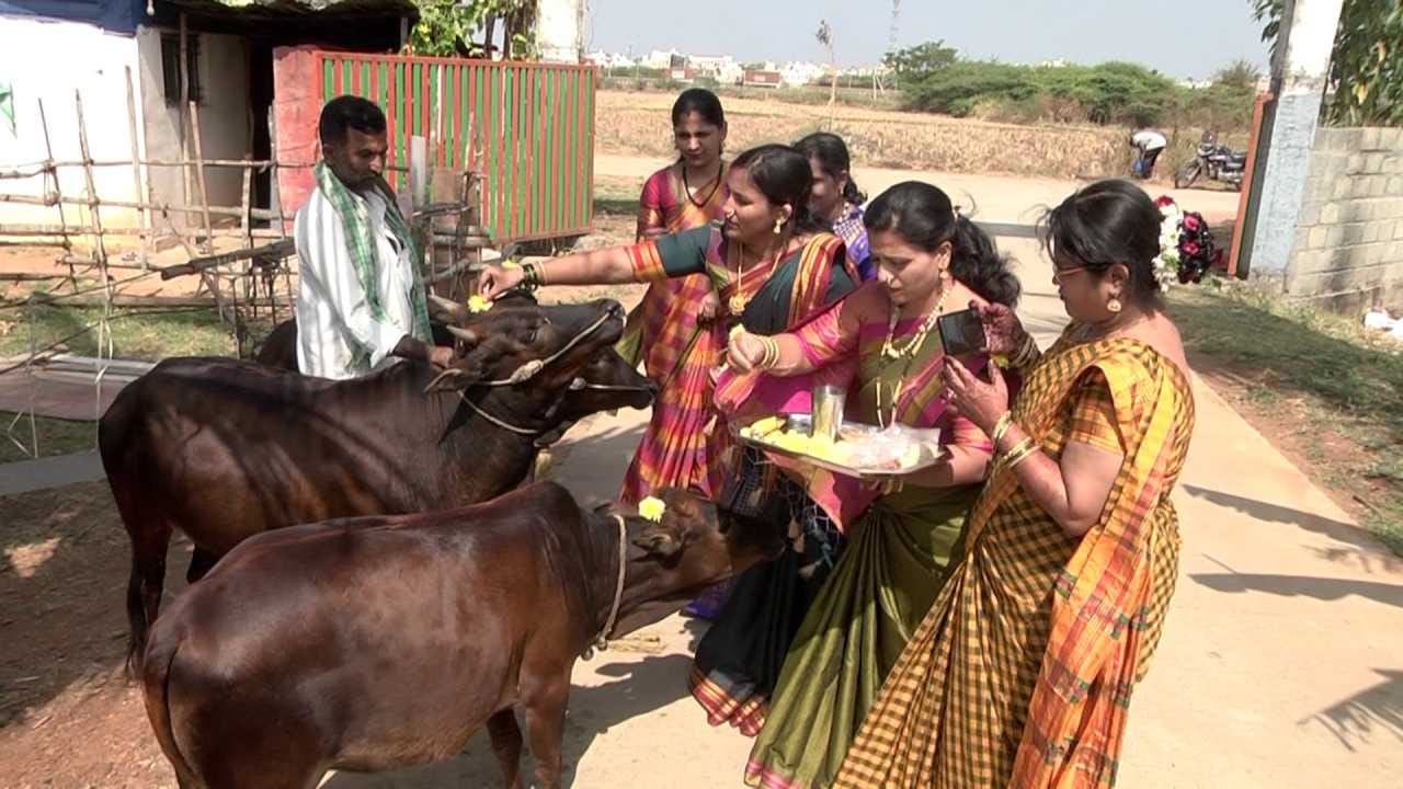  ಶಾಲೆಯನ್ನು ತಳಿರು ತೋರಣಗಳು, ಬಣ್ಣಬಣ್ಣದ ರಂಗೋಲಿಗಳು ಹಾಗೂ ದವಸ ಧಾನ್ಯಗಳ ರಾಶಿಯಿಂದ ಅಲಂಕರಿಸಲಾಗಿತ್ತು. ಗೋ ಪೂಜೆ ನೆರವೇರಿಸಿ ಸಂಕ್ರಾಂತಿ ಆಚರಣೆ ಆರಂಭಿಸಲಾಯಿತು. ಹಳ್ಳಿಸೊಗಡಿನ ಸಾಂಪ್ರದಾಯಿಕ ಉಡುಗೆ ತೊಟ್ಟ ವಿದ್ಯಾರ್ಥಿಗಳು ಸಂಭ್ರಮದಿಂದ ಕಾರ್ಯಕ್ರಮದಲ್ಲಿ ಭಾಗವಹಿಸಿದರು.
