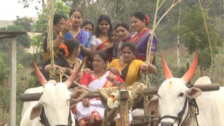 Bagalkote: ‘ಸುಗ್ಗಿಹುಗ್ಗಿ’ ಹೆಸರಲ್ಲಿ ಸಂಕ್ರಾಂತಿ ಸಂಭ್ರಮ; ಇಲ್ಲಿವೆ ಅಂದದ ಚಿತ್ರಗಳು