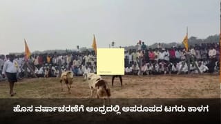 ಹೊಸ ವರ್ಷಾಚರಣೆಗೆ ಆಂಧ್ರದಲ್ಲಿ ಅಪರೂಪದ ಟಗರು ಕಾಳಗ