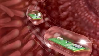 ನಿರಂತರವಾಗಿ ಕಂಡುಬರುವ ಮಲಬದ್ಧತೆ ಸಮಸ್ಯೆ ಹೊಟ್ಟೆಯ ಕ್ಯಾನ್ಸರ್ ಗೆ ಕಾರಣವಾಗಬಹುದೇ?