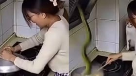 ಅಡುಗೆ ಮಾಡುವಾಗ ಪಾತ್ರೆಯೊಳಗೆ ಬಿದ್ದ ಹಾವು