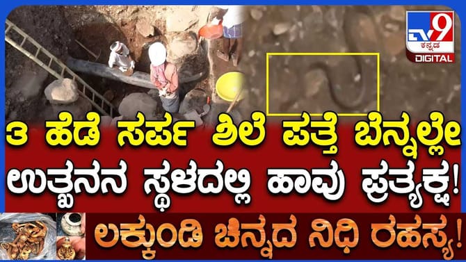ಲಕ್ಕುಂಡಿಯಲ್ಲಿ ಉತ್ಖನನ ನಡೆಯುತ್ತಿರುವ ಸ್ಥಳದಲ್ಲೇ ಹಾವು ಪ್ರತ್ಯಕ್ಷ!