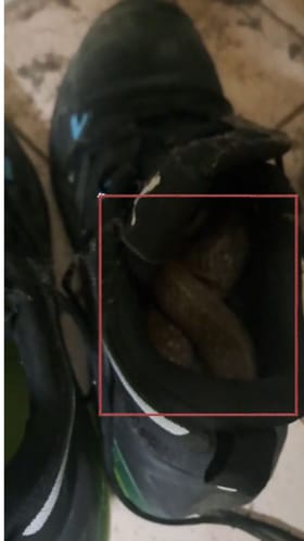 ಶೂ ಒಳಗಡೆ ಅಡಗಿದ್ದ ಹಾವಿನ ರಕ್ಷಣೆ