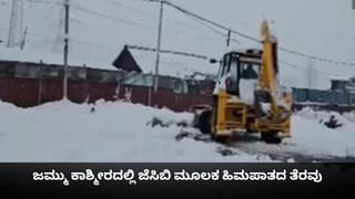 Video: ಟ್ರಕ್​ನಲ್ಲಿ ಪ್ಲಾಸ್ಟಿಕ್​ ಬಾಟಲಿಗಳ ನಡುವೆ ಹಸುಗಳನ್ನು ತುಂಬಿ ಕಳ್ಳಸಾಗಣೆ