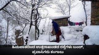 ಮಗನ ಮೇಲೆ ದಾಳಿ ಮಾಡಿದ ಚಿರತೆಯನ್ನು ಕತ್ತಿಯಿಂದ ಕೊಚ್ಚಿ ಕೊಂದ ರೈತ