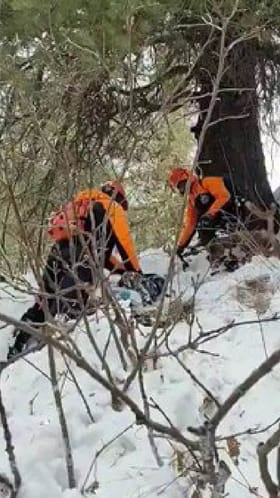 ಹಿಮಪಾತದಿಂದ ಮೃತಪಟ್ಟ ಯುವಕರಿಗೆ ಸಾಕುನಾಯಿಯ ಕಾವಲು!