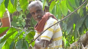 ಹುಟ್ಟಿಸಿದ ಮಗನ ಬಲಿ ಪಡೆದ ತಂದೆ: ಅಪ್ಪನ ಚಟಕ್ಕೆ ಹೋಯ್ತು ಪುತ್ರನ ಪ್ರಾಣ