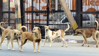 Hubli: ಪದ್ಮಶ್ರೀ ಪುರಸ್ಕೃತ ಪ್ರಭಾಕರ್ ಕೋರೆಗೆ ಕೇಂದ್ರ ಸಚಿವ ಪ್ರಲ್ಹಾದ ಜೋಶಿ ಸನ್ಮಾನ