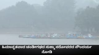 Video: ಹಸಿದ ಶ್ವಾನಕ್ಕೆ ಆಹಾರ ನೀಡಿ ಹಸಿವು ನೀಗಿಸಿದ ಪುಣ್ಯಾತ್ಮ