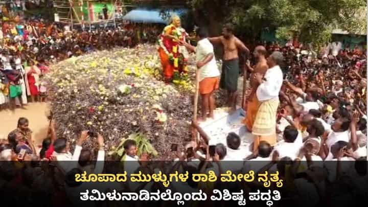 ಚೂಪಾದ ಮುಳ್ಳುಗಳ ರಾಶಿ ಮೇಲೆ ನೃತ್ಯ; ತಮಿಳುನಾಡಿನಲ್ಲೊಂದು ವಿಶಿಷ್ಟ ಪದ್ಧತಿ ಚೂಪಾದ ಮುಳ್ಳುಗಳ ರಾಶಿ ಮೇಲೆ ನೃತ್ಯ; ತಮಿಳುನಾಡಿನಲ್ಲೊಂದು ವಿಶಿಷ್ಟ ಪದ್ಧತಿ