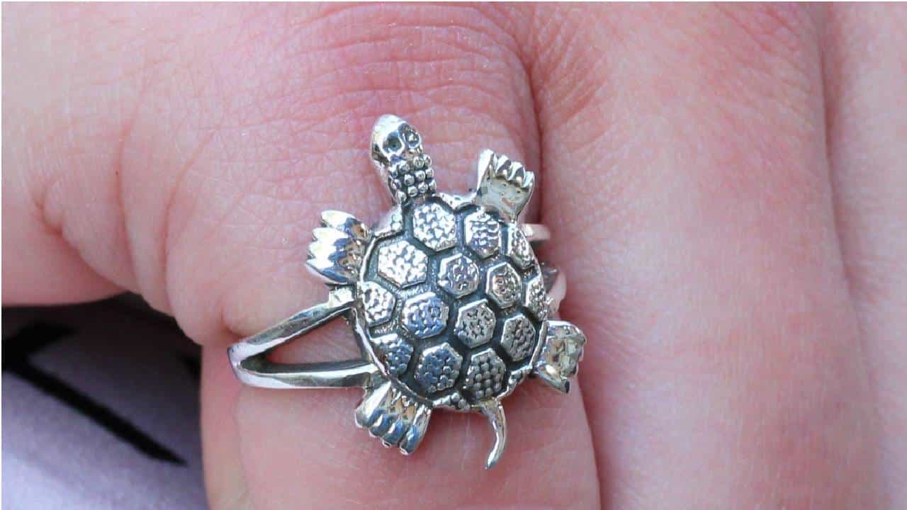 Tortoise Ring: ಈ ನಾಲ್ಕು ರಾಶಿಯವರು ತಪ್ಪಿಯೂ ಆಮೆ ಉಂಗುರ ಧರಿಸಬೇಡಿ; ಜ್ಯೋತಿಷ್ಯ ಸಲಹೆ ಇಲ್ಲಿದೆ