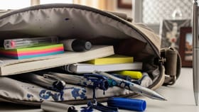 ಆಫೀಸ್ ಬ್ಯಾಗ್​​ನಲ್ಲಿ ಈ ವಸ್ತು ಇಡಲೇಬೇಡಿ; ವಾಸ್ತು ಸಲಹೆ ಇಲ್ಲಿದೆ