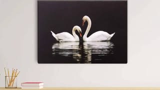 Pooja Room Vasthu: ದೇವರ ಕೋಣೆಯಲ್ಲಿ ಯಾವಾಗಲೂ ನೀರಿನಿಂದ ತುಂಬಿರುವ ಚೆಂಬು ಇರಲೇಬೇಕು , ಯಾಕೆ ಗೊತ್ತಾ?