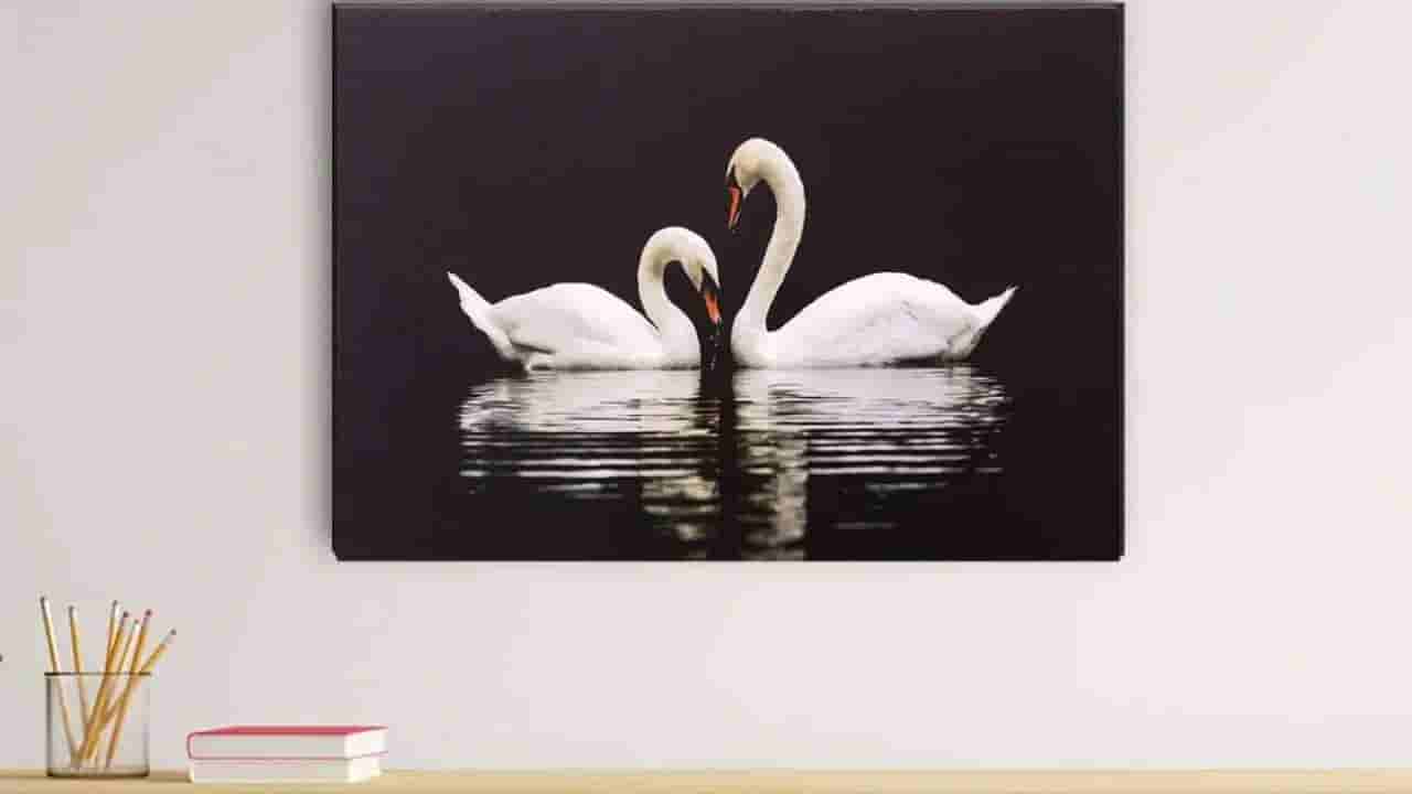 Vastu Tips: ಮನೆಯಲ್ಲಿ ಹಂಸಗಳ ಫೋಟೋ ಇಡುವುದು ಶುಭವೇ? ವಾಸ್ತು ಶಾಸ್ತ್ರ ಹೇಳುವುದೇನು?