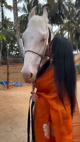 ದರ್ಶನ್​​ ನೆಚ್ಚಿನ ಕುದುರೆಯೊಟ್ಟಿಗೆ ವಿಜಯಲಕ್ಷ್ಮಿ ದರ್ಶನ್: ವಿಡಿಯೋ