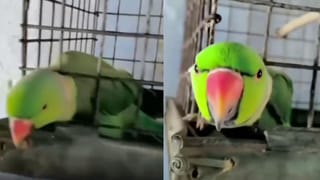 Cap d’Agde: ಈ ನಗರದಲ್ಲಿ ಬಟ್ಟೆ ಧರಿಸಿ ಹೊರ ಬಂದರೆ ಬೀಳುತ್ತೆ ಭಾರೀ ದಂಡ