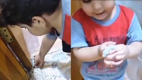 ಹಲ್ಲಿಯನ್ನು ಸಲೀಸಾಗಿ ಬರಿಗೈಯಲ್ಲಿ ಹಿಡಿದು ಮುತ್ತು ನೀಡಿದ ಪುಟಾಣಿ