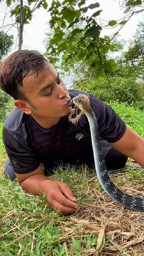 ಹಾವಿಗೆ ಮುತ್ತಿಟ್ಟ ವ್ಯಕ್ತಿ