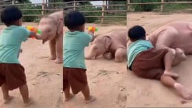 ಪುಟಾಣಿಯೊಂದಿಗೆ ಮರಿಯಾನೆಯ ತುಂಟಾಟ ನೋಡಿ