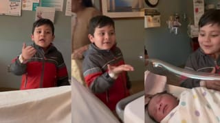 Optical Illusion: ರಾಮಗಿಳಿಗಳ ನಡುವೆ ಅಡಗಿರುವ ಊಸರವಳ್ಳಿಯನ್ನು ಗುರುತಿಸಿ