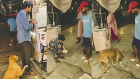 ಹಸಿದ ಶ್ವಾನಕ್ಕೆ ಆಹಾರ ನೀಡಿ ಹಸಿವು ನೀಗಿಸಿದ ಯುವಕ