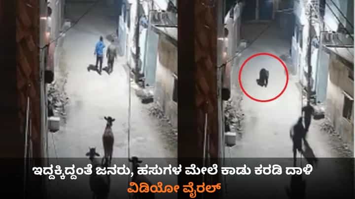 ಇದ್ದಕ್ಕಿದ್ದಂತೆ ಜನರು, ಹಸುಗಳ ಬೆನ್ನಟ್ಟಿದ ಕಾಡು ಕರಡಿ; ಶಾಕಿಂಗ್ ವಿಡಿಯೋ ವೈರಲ್ ಇದ್ದಕ್ಕಿದ್ದಂತೆ ಜನರು, ಹಸುಗಳ ಬೆನ್ನಟ್ಟಿದ ಕಾಡು ಕರಡಿ; ಶಾಕಿಂಗ್ ವಿಡಿಯೋ ವೈರಲ್