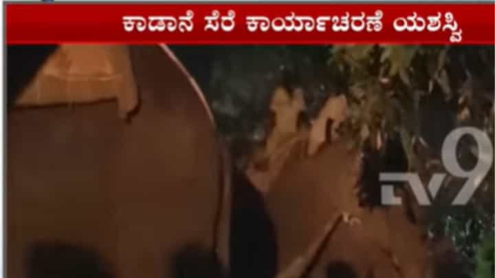 ಹಾಸನ: ಮಹಿಳೆಯ ಬಲಿ ಪಡೆದಿದ್ದ ಕಾಡಾನೆ ಕೊನೆಗೂ ಸೆರೆ ಹಾಸನ: ಮಹಿಳೆಯ ಬಲಿ ಪಡೆದಿದ್ದ ಕಾಡಾನೆ ಕೊನೆಗೂ ಸೆರೆ