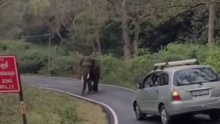 ರಾಜೀವ್​ ಗೌಡನಿಗೆ ಆಶ್ರಯ ನೀಡಿದ್ದ ಮಂಗಳೂರಿನ ಉದ್ಯಮಿ ಯಾರು? ಸಿಕ್ಕಿಬಿದಿದ್ದು ಹೇಗೆ?