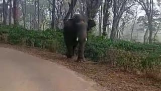 ಲಂಚ ಪಡೆಯುವಾಗ ತಗ್ಲಾಕೊಂಡ ಇನ್ಸ್​​ಪೆಕ್ಟರ್​​​​​​​ ಕೂಗಾಡಿ ರಂಪಾಟ, ವಿಡಿಯೋ ನೋಡಿ