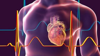 ಈ ಆಹಾರಗಳನ್ನು ಸೇವನೆ ಮಾಡ್ತೀರಾ? ಹಾಗಿದ್ರೆ ಫ್ಯಾಟಿ ಲಿವರ್ ಸಮಸ್ಯೆ ಬರುತ್ತೆ ಹುಷಾರ್!