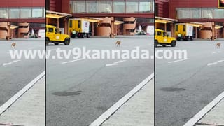 10 ವರ್ಷ ಹಿಂದೆ ತಾಯಿ ಜತೆ ಓಡಿ ಹೋಗಿದ್ದವನನ್ನ ಕೊಲೆಗೈದ ಪುತ್ರ,  ಶವದ ಮೇಲೆ ಕಾಲಿಟ್ಟು ಪೊಲೀಸರಿಗೆ ಕರೆ