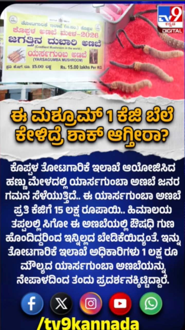 ಈ ಅಣಬೆ ಬೆಲೆ ಪ್ರತಿ ಕೆಜಿಗೆ 15 ಲಕ್ಷ ರೂ