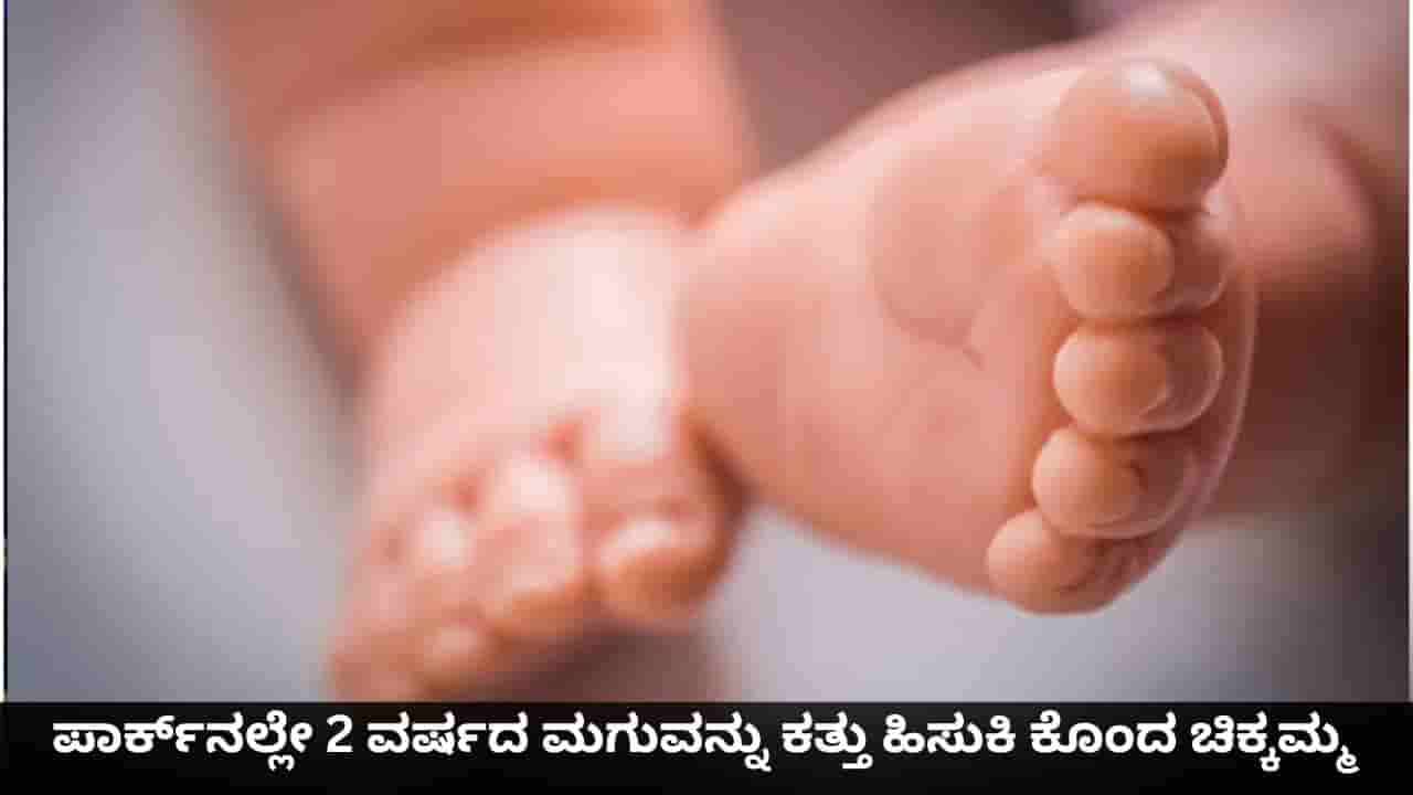 ಮಗುವಿನ ಪಾಲಿಗೆ ರಾಕ್ಷಸಿಯಾದ ಚಿಕ್ಕಮ್ಮ; ಪಾರ್ಕ್ನಲ್ಲೇ 2 ವರ್ಷದ ಕೂಸನ್ನು ಕೊಂದ ಮಹಿಳೆ