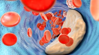 Valentine’s Week List 2026: ಪ್ರೇಮಿಗಳ ವಾರದಲ್ಲಿ ಯಾವೆಲ್ಲಾ ವಿಶೇಷ ದಿನಗಳನ್ನು ಆಚರಿಸಲಾಗುತ್ತದೆ; ಇಲ್ಲಿದೆ ಲಿಸ್ಟ್