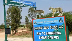 ನಾಳೆಯಿಂದಲೇ ನಾಗರಹೊಳೆ, ಬಂಡೀಪುರ ಸಫಾರಿ ಪುನರಾರಂಭ