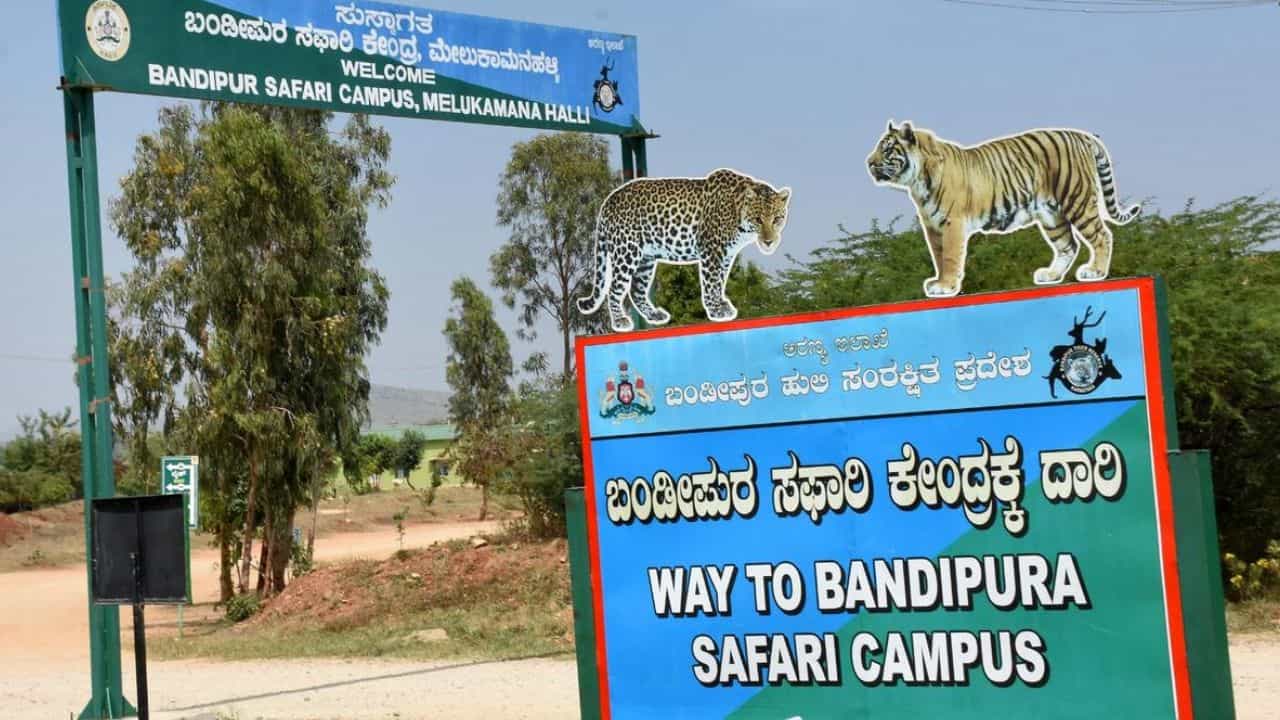 ನಾಳೆಯಿಂದಲೇ ನಾಗರಹೊಳೆ, ಬಂಡೀಪುರ ಸಫಾರಿ ಪುನರಾರಂಭ: ಗುಡ್​​ನ್ಯೂಸ್​​ ಕೊಟ್ಟ ಅರಣ್ಯ ಸಚಿವರು