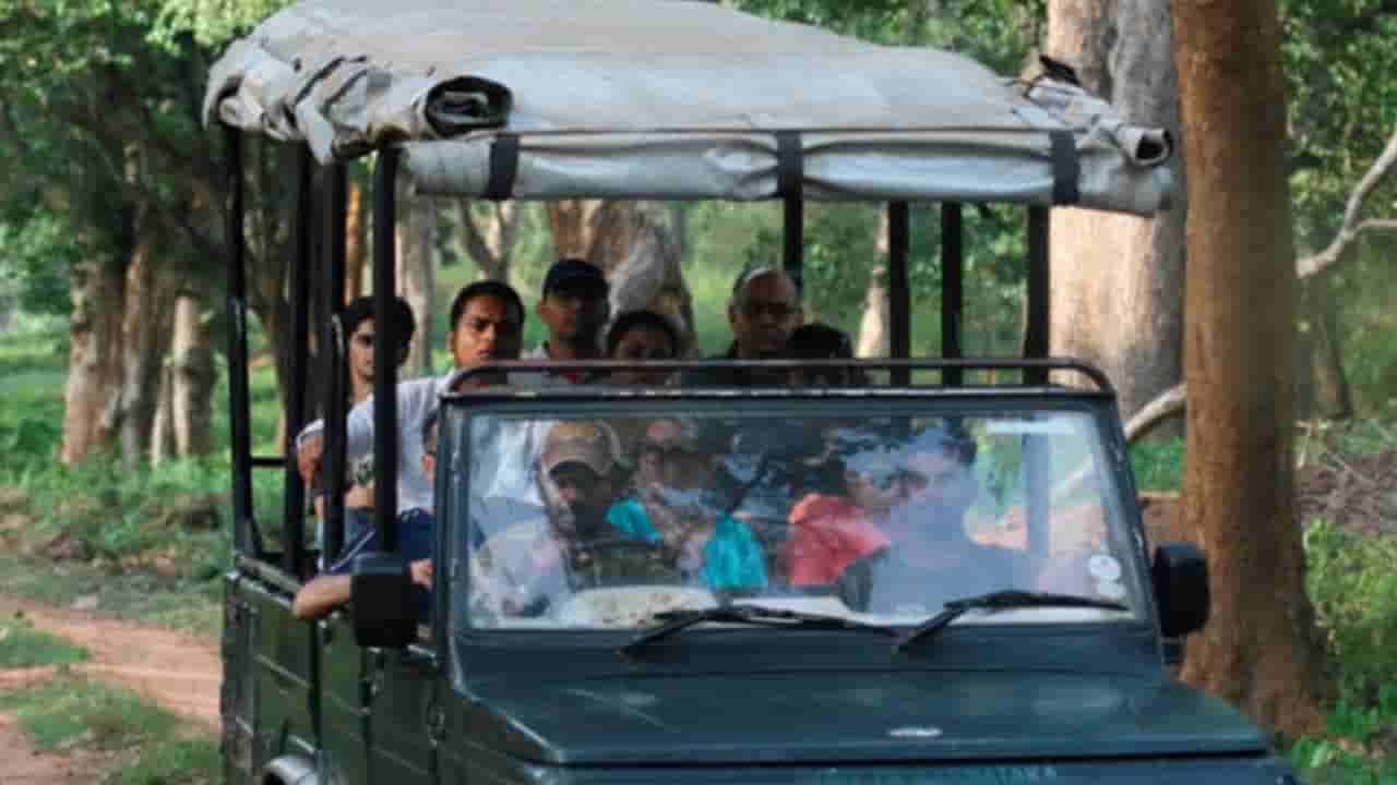 ರಾಜ್ಯದಲ್ಲಿ ಸಫಾರಿ ಬಂದ್ನಿಂದ ನೆರೆರಾಜ್ಯಕ್ಕೆ ಹರಿದು ಹೋಗುತ್ತಿದೆ ಪ್ರವಾಸಿಗರ ದಂಡು! ಕರ್ನಾಟಕಕ್ಕಾಗುವ ನಷ್ಟವೆಷ್ಟು ಗೊತ್ತಾ?