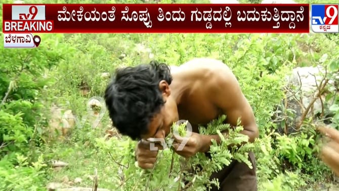 10 ವರ್ಷಗಳಿಂದ ಕೇವಲ ಎಲೆಗಳನ್ನು ತಿಂದು ಬದುಕುತ್ತಿದ್ದಾನೆ ಈ ವ್ಯಕ್ತಿ!