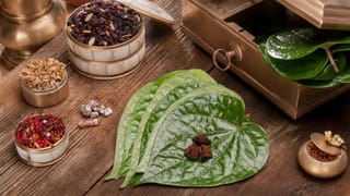 ಋತುಚಕ್ರದ ಸಮಯದಲ್ಲಿ ಈ ಆಹಾರಗಳನ್ನು ಕಡ್ಡಾಯವಾಗಿ ಸೇವಿಸಬೇಕು!