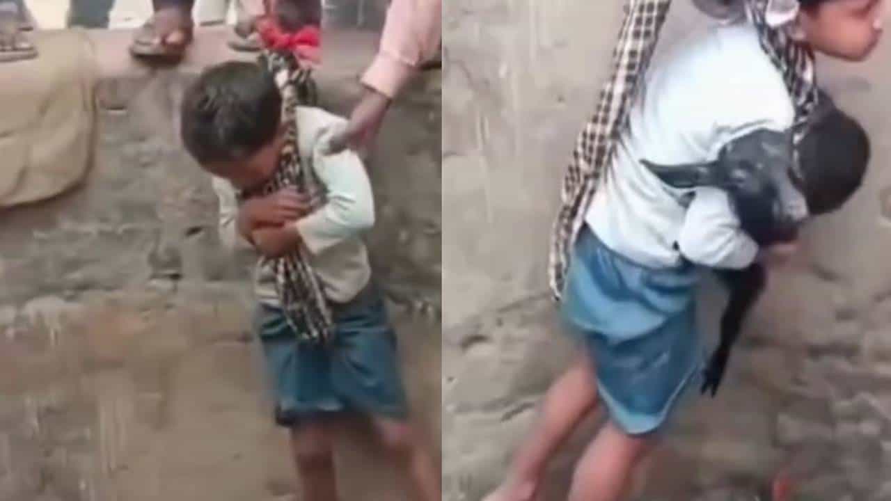 Viral Video: ಮೇಕೆ ಮರಿಯನ್ನು ರಕ್ಷಿಸಲು ಬಾಲಕನಿಗೆ ಹಗ್ಗ ಕಟ್ಟಿ 40 ಅಡಿ ಆಳದ ಬಾವಿಗೆ ಇಳಿಸಿದ್ರು Viral Video: ಮೇಕೆ ಮರಿಯನ್ನು ರಕ್ಷಿಸಲು ಬಾಲಕನಿಗೆ ಹಗ್ಗ ಕಟ್ಟಿ 40 ಅಡಿ ಆಳದ ಬಾವಿಗೆ ಇಳಿಸಿದ್ರು