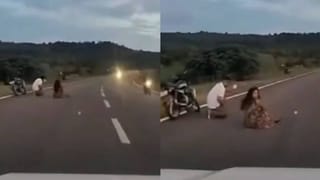 Video: ಅಬ್ಬಾ ! ಒಂದು ಎಕರೆ ತೆಂಗಿನ ತೋಟದಲ್ಲಿ 28 ಲಕ್ಷ ರೂ ಗಳಿಸಬಹುದಂತೆ; ಹೇಗೆ? ಇಲ್ಲಿದೆ ವಿಡಿಯೋ