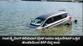 Optical Illusion: ಆನೆಗಳ ಹಿಂಡಿನ ನಡುವೆ ಇರುವ ಘೇಂಡಾಮೃಗವನ್ನು ಕಂಡು ಹಿಡಿಯಬಲ್ಲಿರಾ